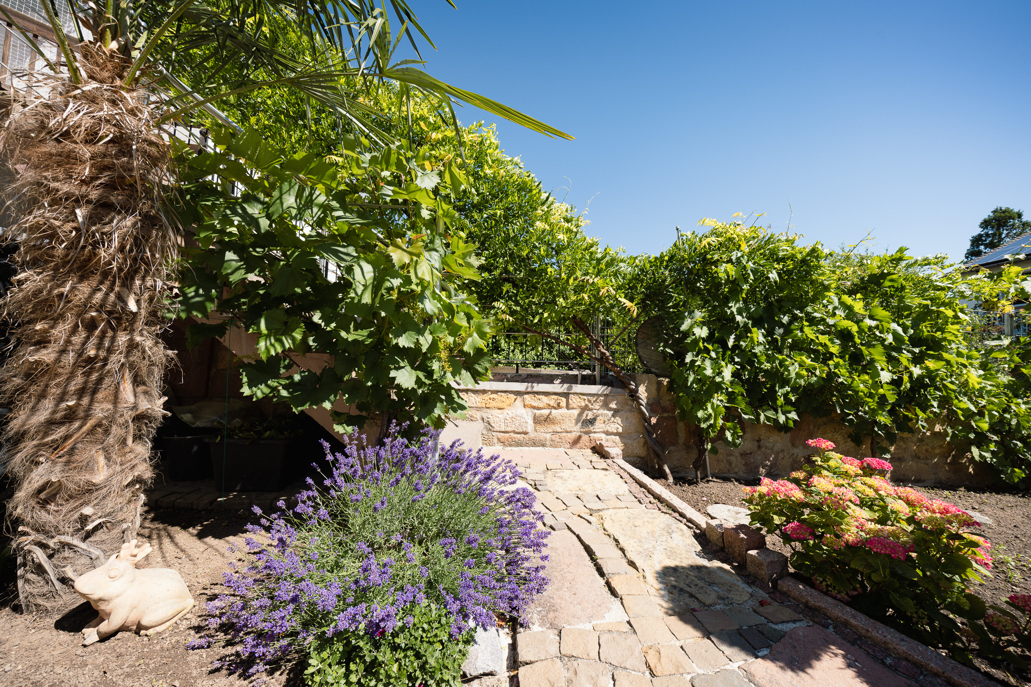 Garten 1