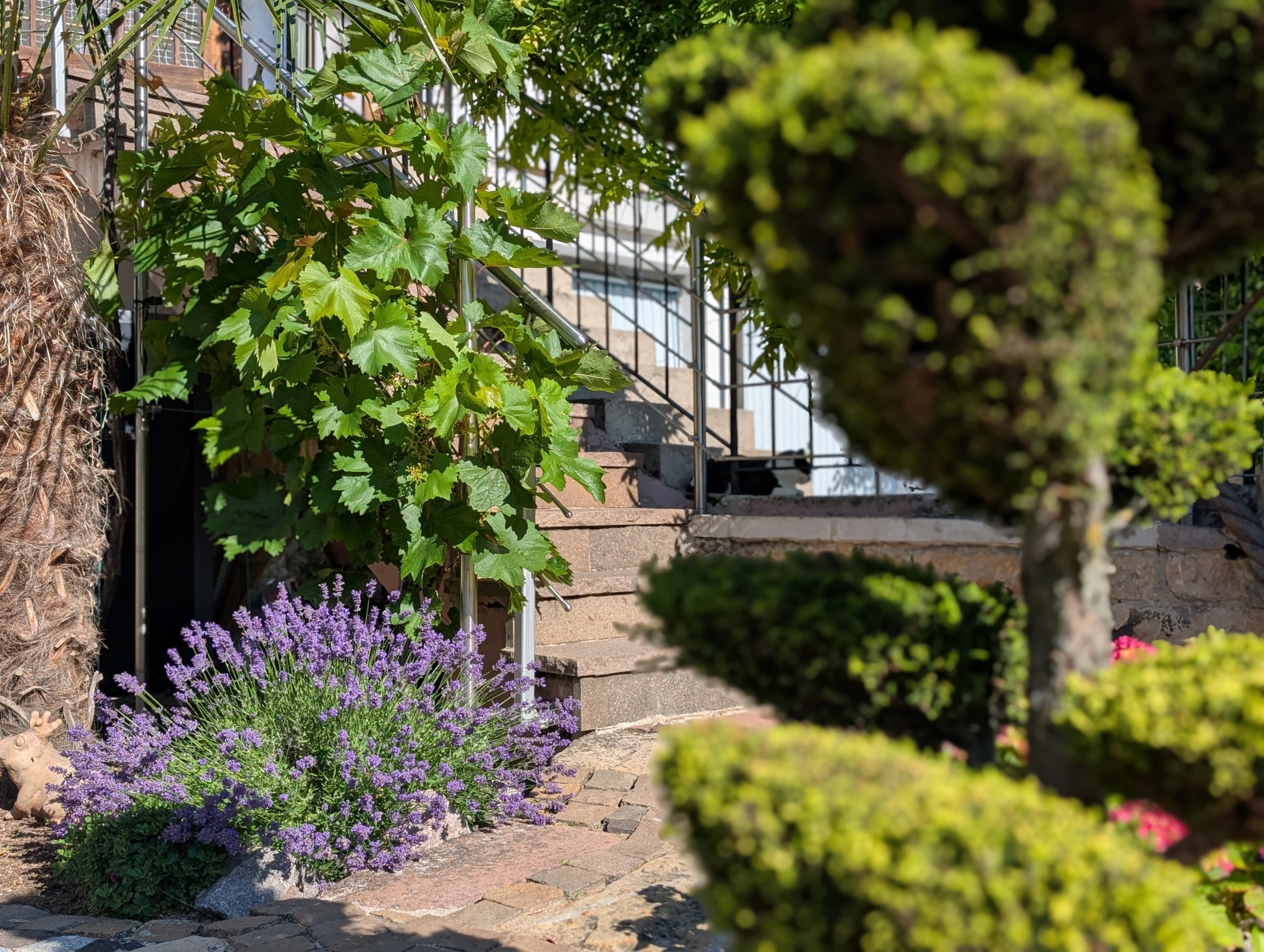Garten 5
